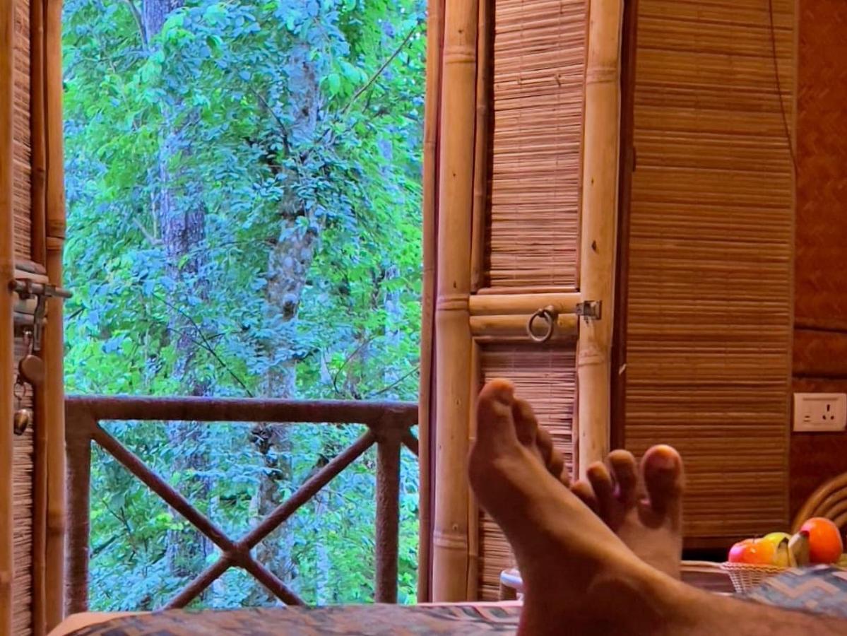 Adrak Mountain Mist Forest Resort Pulpally Exterior foto